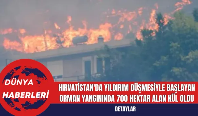 Hırvatistan'da Yıldırım Düşmesiyle Başlayan Orman Yangınında 700 Hektar Alan Kül Oldu