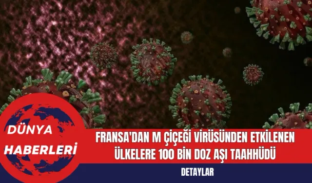 Fransa'dan M Çiçeği Virüsünden Etkilenen Ülkelere 100 Bin Doz Aşı Taahhüdü