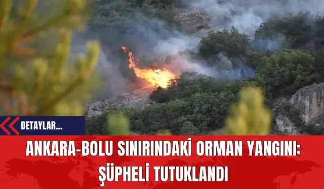 Ankara-Bolu Sınırındaki Orman Yangını: Şüpheli Tutuklandı