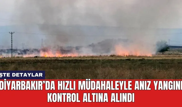 Diyarbakır’da hızlı müdahaleyle anız yangını kontrol altına alındı