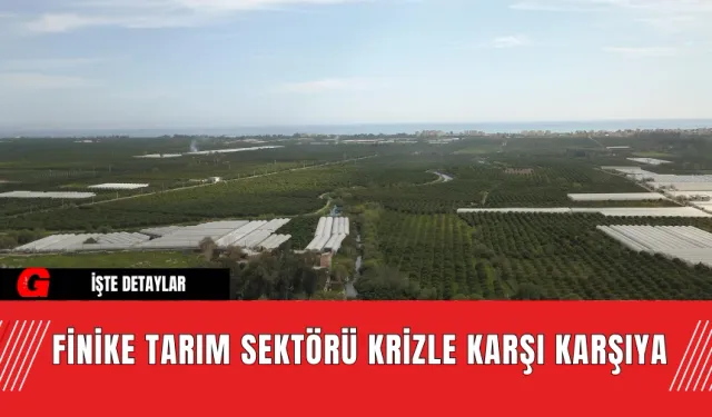 Finike Tarım Sektörü Krizle Karşı Karşıya