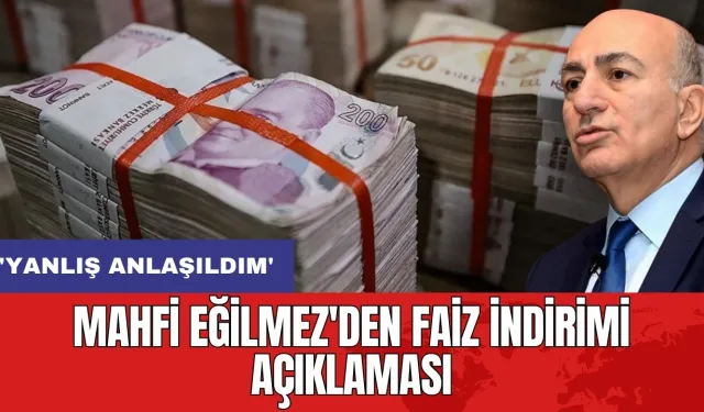 Mahfi Eğilmez'den faiz indirimi açıklaması: 'Yanlış anlaşıldım'