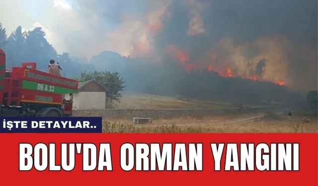 Bolu'da Orman yangını