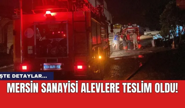 Mersin sanayisi alevlere teslim oldu!