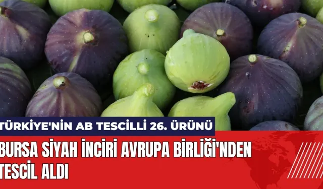 Bursa Siyah İnciri Avrupa Birliği'nden tescil aldı