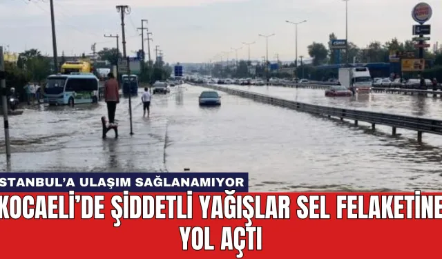 Kocaeli’de Şiddetli Yağışlar Sel Felaketine Yol Açtı