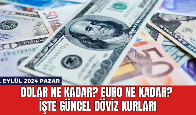 Dolar Ne Kadar? Euro Ne Kadar? İşte Güncel Döviz Kurları 1 Eylül 2024 Pazar