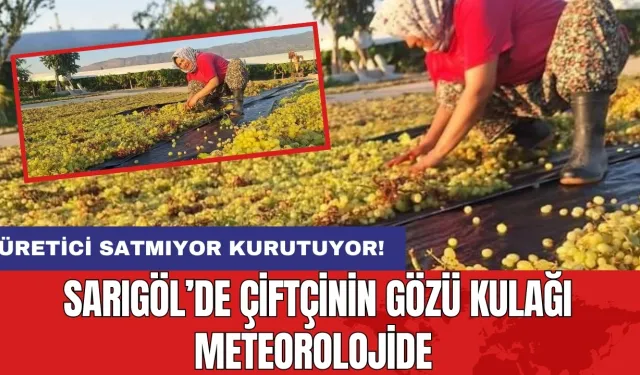 Manisa Sarıgöl'de üreticinin gözü meteorolojide