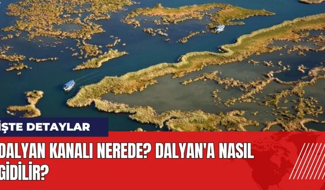 Dalyan Kanalı nerede? Dalyan'a nasıl gidilir?