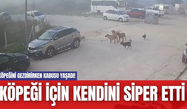 Köpeğini Gezdirirken Kabusu Yaşadı! Köpeği İçin Kendini Siper Etti