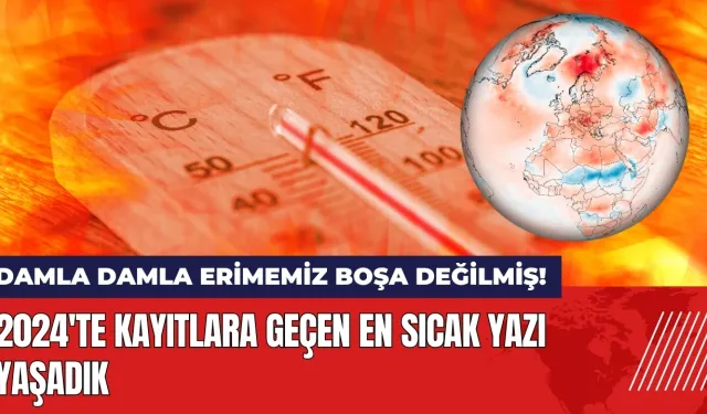 2024'te kayıtlara geçen en sıcak yazı yaşadık!