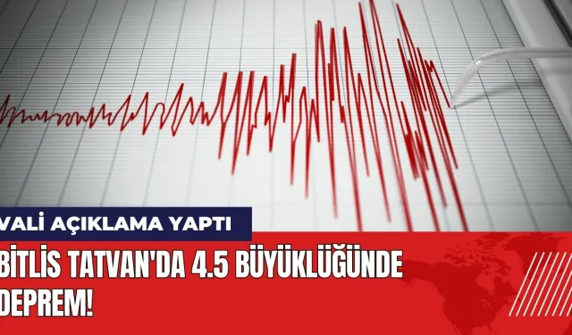 Bitlis Tatvan'da 4.5 büyüklüğünde deprem! Vali açıklama yaptı