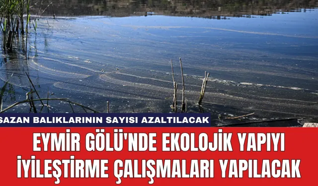 Eymir Gölü'nde Ekolojik Yapıyı İyileştirme Çalışmaları Yapılacak