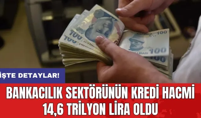 Bankacılık sektörünün kredi hacmi 14,6 trilyon lira oldu