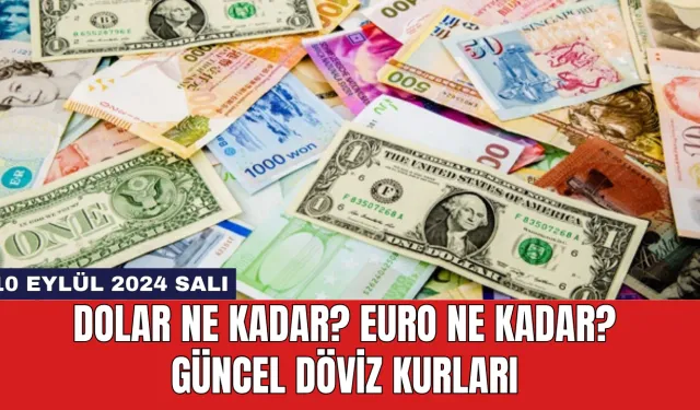 Dolar Ne Kadar? Euro Ne Kadar? Güncel Döviz Kurları 10 Eylül 2024 Salı