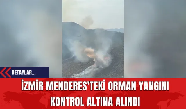 İzmir Menderes'teki Orman Yangını Kontrol Altına Alındı