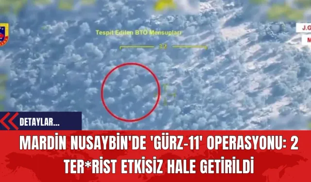 Mardin Nusaybin'de 'Gürz-11' Operasyonu: 2 Ter*rist Etkisiz Hale Getirildi