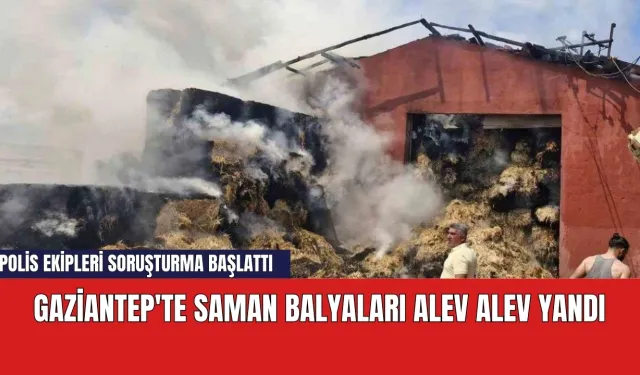 Gaziantep'te saman balyaları alev alev yandı