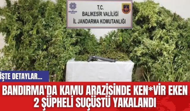 Bandırma'da Kamu Arazisinde Ken*vir Eken 2 Şüpheli Suçüstü Yakalandı