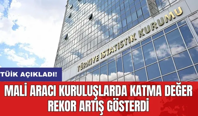 Mali aracı kuruluşlarda katma değer rekor artış gösterdi