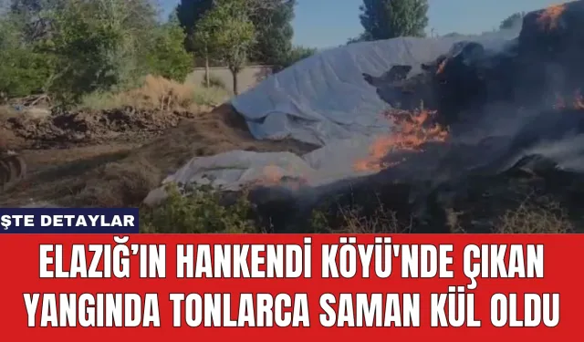 Elazığ’ın Hankendi Köyü'nde Çıkan Yangında Tonlarca Saman Kül Oldu