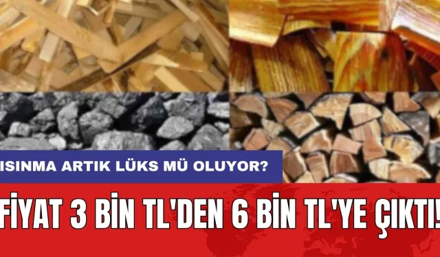 Fiyat 3 bin TL'den 6 bin TL'ye çıktı: Isınma artık lüks mü oluyor?