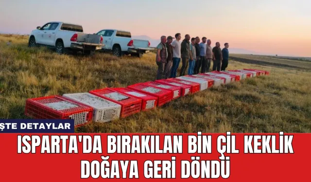 Isparta'da Bırakılan Bin Çil Keklik Doğaya Geri Döndü