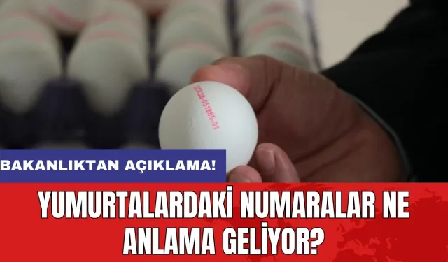 Bakanlıktan açıklama: Yumurtalardaki numaralar ne anlama geliyor?