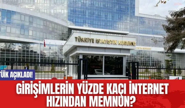 TÜİK Açıkladı! Girişimlerin Yüzde Kaçı İnternet Hızından Memnun?