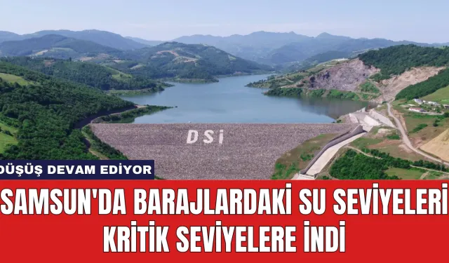 Samsun'da Barajlardaki Su Seviyeleri Kritik Seviyelere İndi