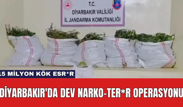 Diyarbakır'da Dev Narko-Ter*r Operasyonu: 15 Milyon Kök Esr*r