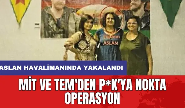 MİT ve TEM'den P*K'ya nokta operasyon: Aslan havalimanında yakalandı