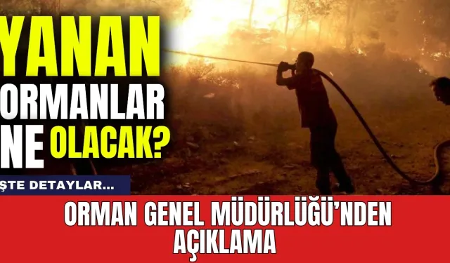 Yanan ormanlar ne olacak? Bakanlıktan açıklama