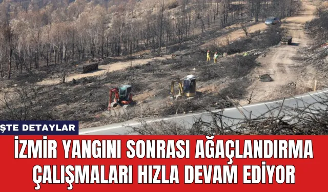 İzmir'de Yangın Sonrası Ağaçlandırma Çalışmaları Hızla Devam Ediyor