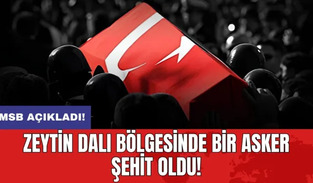 MSB duyurdu: Zeytin Dalı bölgesinde bir asker şehit oldu!