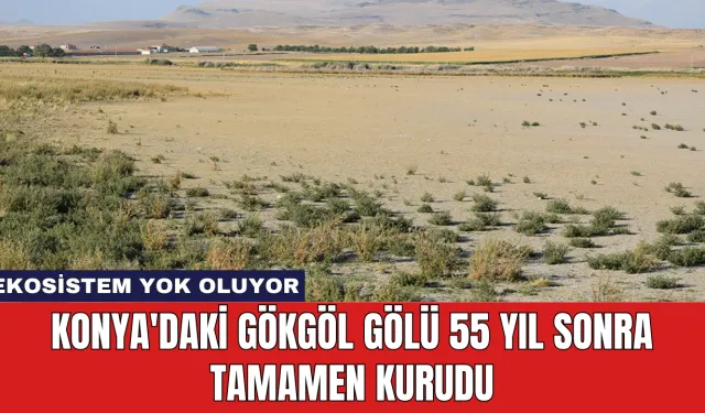 Konya'daki Gökgöl Gölü 55 Yıl Sonra Tamamen Kurudu