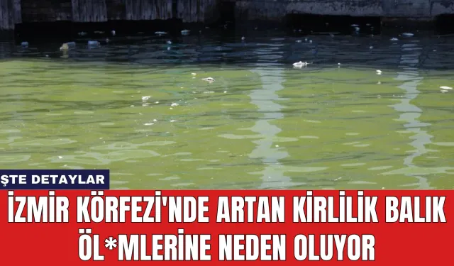 İzmir Körfezi'nde Artan Kirlilik Balık Öl*mlerine Neden Oluyor