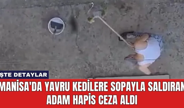 Manisa'da Yavru Kedilere Sopayla Saldıran Adam Hapis Ceza Aldı