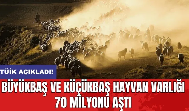 TÜİK açıkladı! Büyükbaş ve küçükbaş hayvan varlığı 70 milyonu aştı