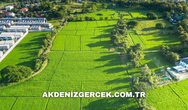 Elazığ merkezde mahkemeden satılık 3.871 m² arsa