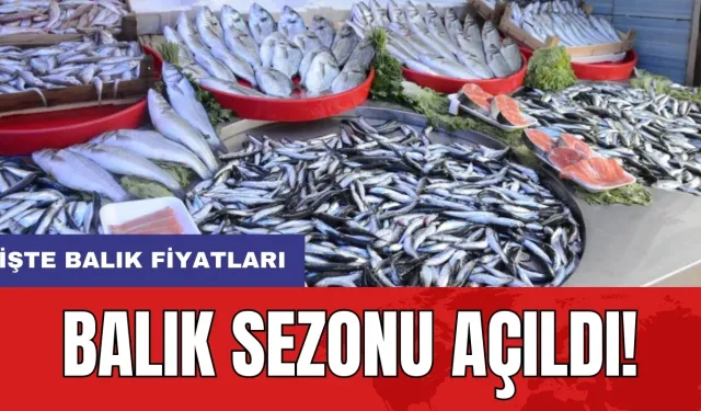 Balık sezonu açıldı! İşte balık fiyatları