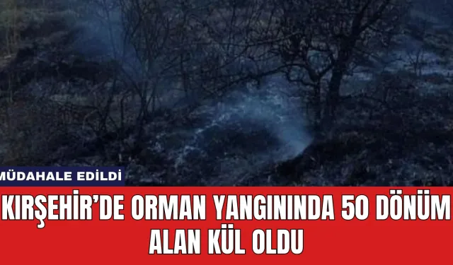 Kırşehir’de Orman Yangınında 50 Dönüm Alan Kül Oldu