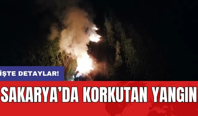 Sakarya’da korkutan yangın