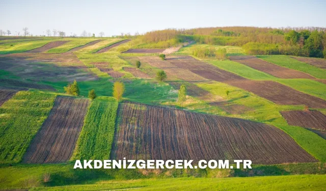 Ankara Gölbaşı'nda mahkemeden satılık arsa