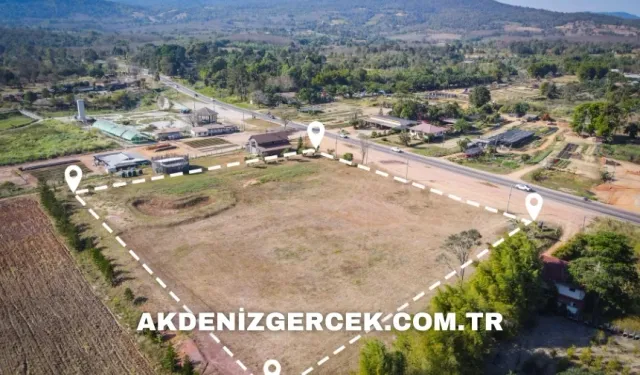 Balıkesir Ayvalık'ta mahkemeden satılık 8.421 m² tarla