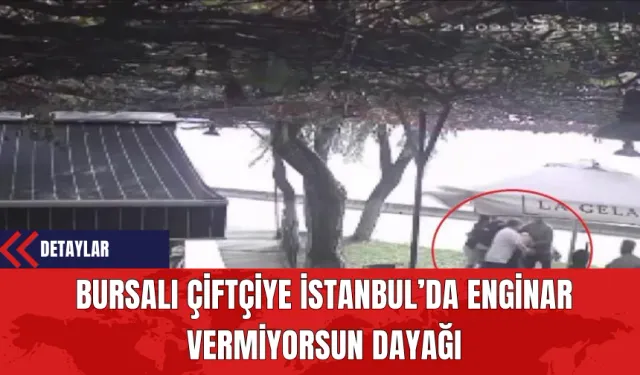 Bursalı Çiftçiye İstanbul’da Enginar Vermiyorsun Dayağı