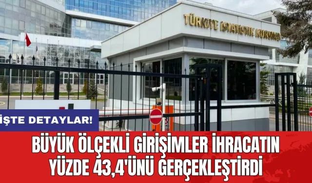 Büyük ölçekli girişimler ihracatın yüzde 43,4'ünü gerçekleştirdi