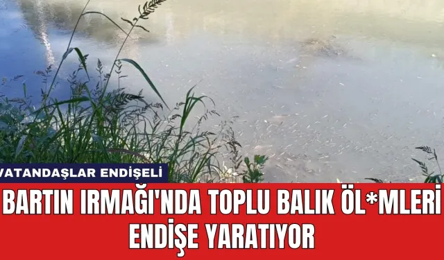 Bartın Irmağı'nda Toplu Balık Öl*mleri Endişe Yaratıyor