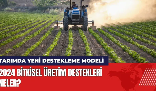 Tarımda yeni destekleme modeli: 2024 Bitkisel Üretim Destekleri neler?