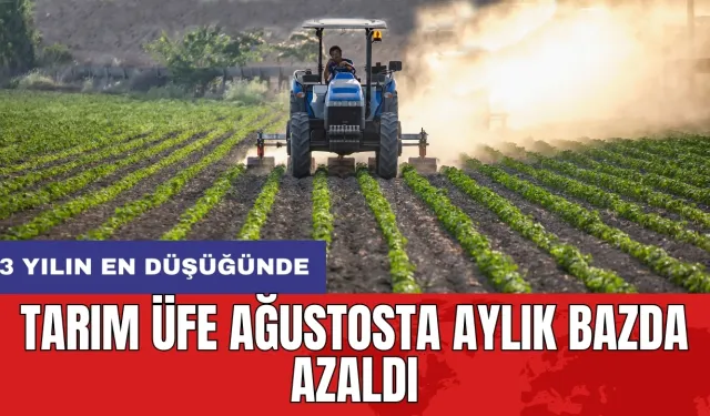 Tarım ÜFE ağustosta aylık bazda azaldı